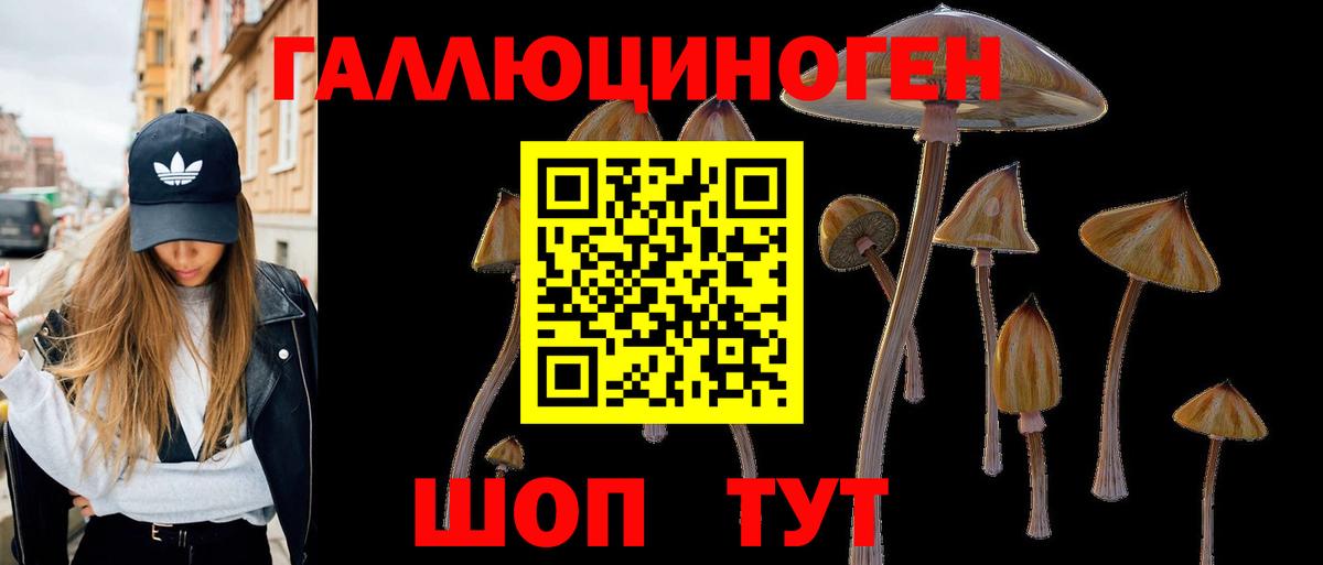 Галлюциногенные грибы Magic Shrooms Балашиха