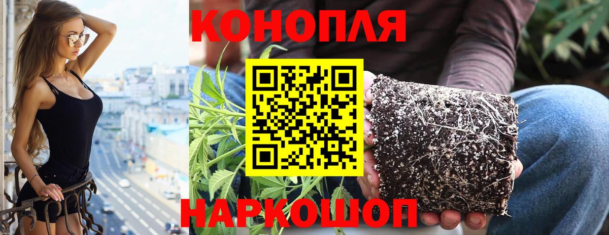 Конопля Ganja  Вход с VPN  Балашиха  Шишки марихуана семена 